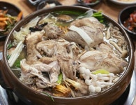닭백숙 > 음식/여행 | 퀘이사존 QUASARZONE 닭백숙