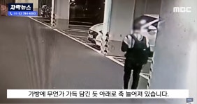 모텔에서 4060 그래픽카드 수십개 훔친 도둑 > 자유게시판 | 퀘이사존 QUASARZONE 모텔에서 4060 그래픽카드 수십개 훔친 도둑