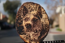 태양광 예술 > 유머게시판 | 퀘이사존 QUASARZONE 태양광 예술