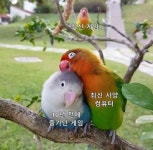 비싼 돈 들여 하이엔드급 PC 맞출 필요 없는 이유 > 유머게시판 | 퀘이사존 QUASARZONE 비싼 돈 들여 하이엔드급 PC 맞출 필요 없는 이유