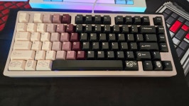 PC 로즈75 핑크 + 키코보 판도라 > 키보드/마우스 | 퀘이사존 QUASARZONE PC 로즈75 핑크 + 키코보 판도라