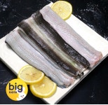 [옥션] 풍천 자포니카 민물장어 500g (19,940원 / 무배) > 핫딜 | 퀘이사존 QUASARZONE [옥션] 풍천 자포니카 민물장어 500g (19,940원 / 무배)