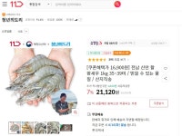 [11번가]전남 신안 활 왕새우 1kg 35~39미 / 믿을 수 있는 품질 / 산지직송 > 핫딜 | 퀘이사존 QUASARZONE [11번가]전남 신안 활 왕새우 1kg... 