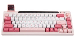 | 퀘이사존 QUASARZONE