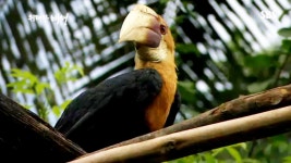 특집 다큐멘터리 339회 무료보기-SBS ALL VOD 339회 특집 다큐멘터리 : All VOD