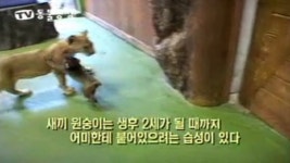 TV 동물농장 341회 무료보기-SBS ALL VOD 341회 TV 동물농장 : All VOD