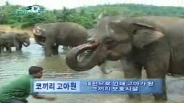 세계로 떠나볼까 40회 무료보기-SBS ALL VOD 40회 세계로 떠나볼까 : All VOD