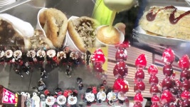 생방송 투데이 1579회 무료보기-SBS ALL VOD 1579회 생방송 투데이 : All VOD