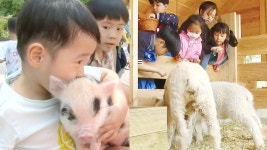 SBS 뉴스토리 142회 무료보기-SBS ALL VOD 142회 SBS 뉴스토리 : All VOD