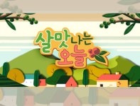 살맛나는 오늘 : SBS 살맛나는 오늘