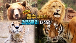 TV 동물농장 1002회 무료보기-SBS ALL VOD 1002회 TV 동물농장 : All VOD