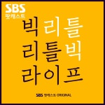 빅 리틀 라이프 : 라디오 팟캐스트 : SBS 빅 리틀 라이프