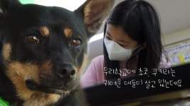 TV 동물농장 1039회 무료보기-SBS ALL VOD 1039회 TV 동물농장 : All VOD