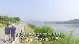 네트워크 현장! 고향이 보인다 1149회 무료보기-SBS ALL VOD 1149회 네트워크 현장! 고향이 보인다 : All VOD