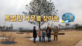 꾸러기 탐구생활 1117회-SBS ALL VOD 1117회 꾸러기 탐구생활 : All VOD