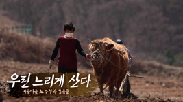 TV 동물농장 1061회-SBS ALL VOD 1061회 TV 동물농장 : All VOD