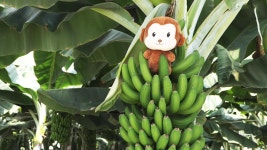 네트워크 현장! 고향이 보인다 1218회 무료보기-SBS ALL VOD 1218회 네트워크 현장! 고향이 보인다 : All VOD