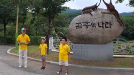 꾸러기 탐구생활 1147회-SBS ALL VOD 1147회 꾸러기 탐구생활 : All VOD