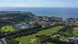 네트워크 현장! 고향이 보인다 1248회 무료보기-SBS ALL VOD 1248회 네트워크 현장! 고향이 보인다 : All VOD