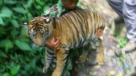 TV 동물농장 37회 무료보기-SBS ALL VOD 37회 TV 동물농장 : All VOD