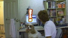 TV 동물농장 73회 무료보기-SBS ALL VOD 73회 TV 동물농장 : All VOD