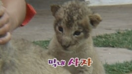 TV 동물농장 73회 무료보기-SBS ALL VOD 73회 TV 동물농장 : All VOD