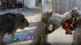 TV 동물농장 106회 무료보기-SBS ALL VOD 106회 TV 동물농장 : All VOD