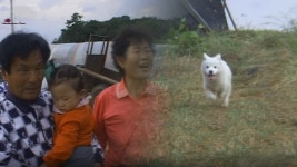 TV 동물농장 122회 무료보기-SBS ALL VOD 122회 TV 동물농장 : All VOD
