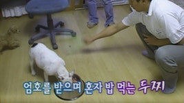 TV 동물농장 120회 무료보기-SBS ALL VOD 120회 TV 동물농장 : All VOD
