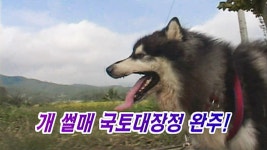 TV 동물농장 146회 무료보기-SBS ALL VOD 146회 TV 동물농장 : All VOD