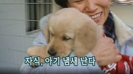 TV 동물농장 144회 무료보기-SBS ALL VOD 144회 TV 동물농장 : All VOD