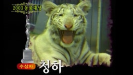 TV 동물농장 144회 무료보기-SBS ALL VOD 144회 TV 동물농장 : All VOD