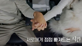 펫미픽미 3회-SBS ALL VOD 3회 펫미픽미 : All VOD