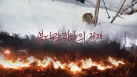 꼬리에 꼬리를 무는 그날 이야기 57회-SBS ALL VOD 57회 꼬리에 꼬리를 무는 그날 이야기 : All VOD