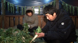 농비어천가 다시보기 - AllVOD