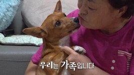 TV 동물농장 1134회-SBS ALL VOD 1134회 TV 동물농장 : All VOD