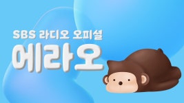 sbs : 프로그램 : SBS SBS