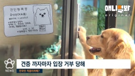 애니멀봐 : SBS 애니멀봐