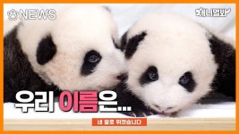 애니멀봐 : SBS 애니멀봐