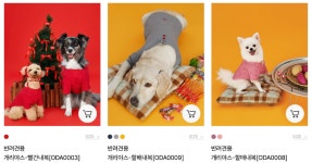 즐거웠던 산책길, 멍이가 ‘아야’한 이유는? - 헤럴드경제 즐거웠던 산책길, 멍이가 ‘아야’한 이유는?