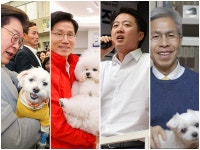 고은경의 애니로그ㅣ한국일보