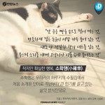 [카드뉴스] 카페에서 커피 한잔의 행복…소확행 아시나요 | 연합뉴스