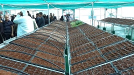 50도 사막으로 처음 간 스마트 팜에 새싹 돋을까 | 연합뉴스