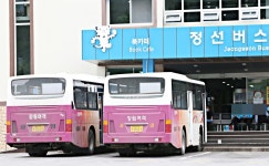[톡톡 지방자치] 인구 3만7천 산골의 도전…정선 버스완전공영제 | 연합뉴스