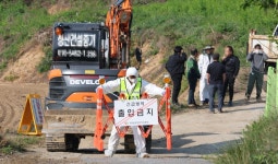 [르포] 축사 밀집지에 구제역이라니… 반경 3㎞ 내 236개 농장 | 연합뉴스