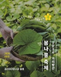 정선의 봄을 맛보다…아리랑시장서 15∼17일 봄나물 축제 | 연합뉴스