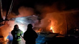 합천 돈사 화재로 돼지 760여마리 폐사…인명피해 없어 | 연합뉴스