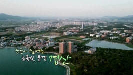 [UHD 다큐 풍경] 녹음이 짙어진 초록빛 풍경…경산 | 연합뉴스