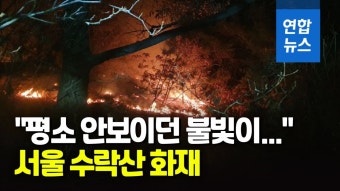 [영상] 한밤중 서울 수락산 화재…산림 0.03ha 불에 타 | 연합뉴스