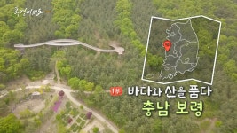 [풍경여지도] 바다와 산을 품다 - 충남 보령 1부 | 연합뉴스